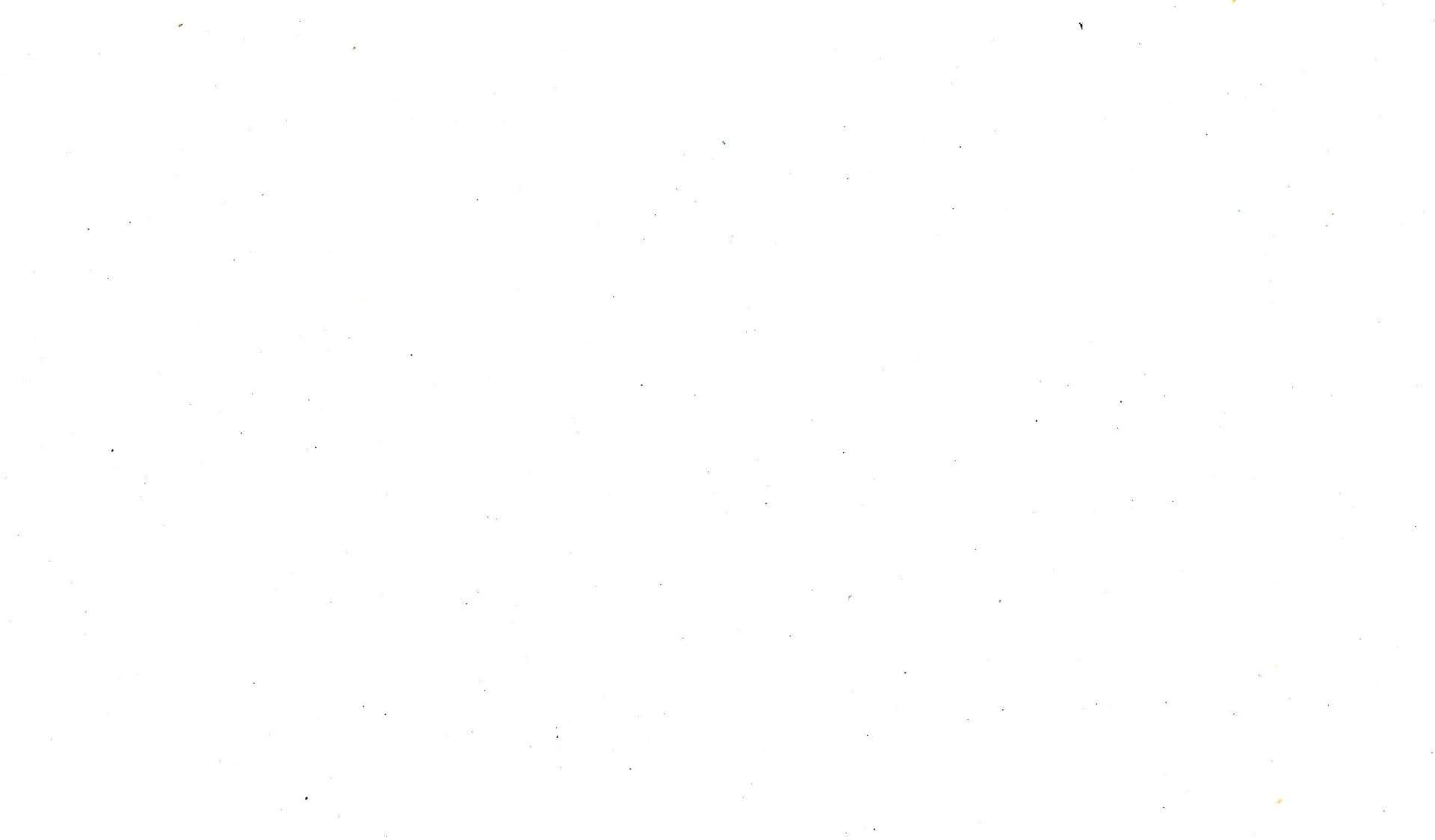 White Logo