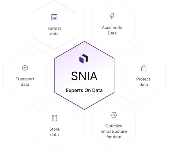 Snia Polygon Image