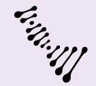Member Logo