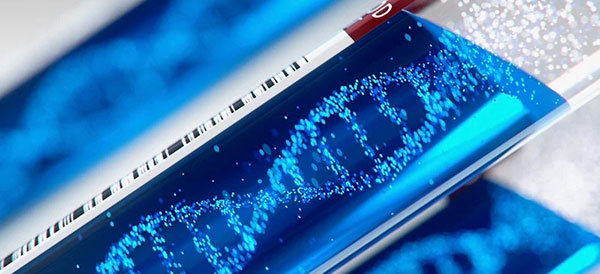 White Paper: Preserving our Digital Legacy: An Introduction to DNA Data Storage